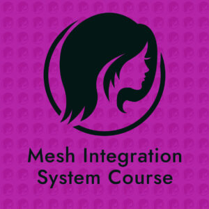 Mesh Integration System Course